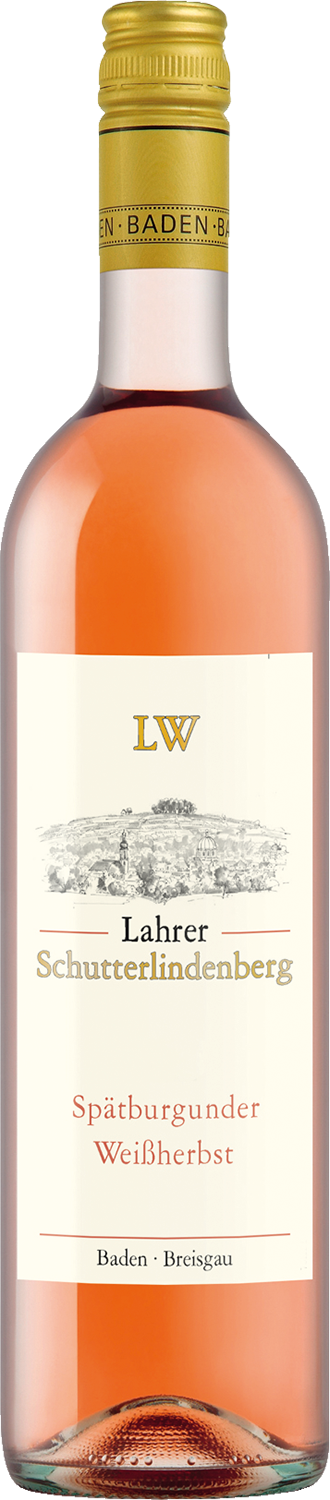 Lahrer Schutterlindenberg Spätburgunder Weissherbst